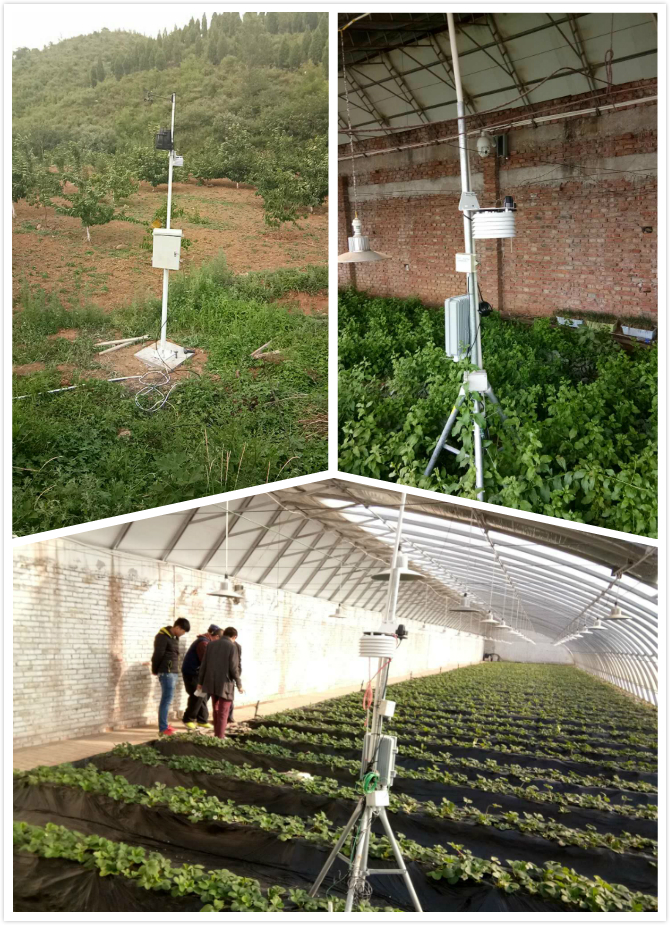 1514423949996575SuBa.jpg 未命名_meitu_0.jpg